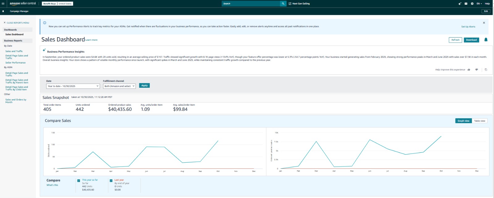 Shopify store overview analytics dashboard